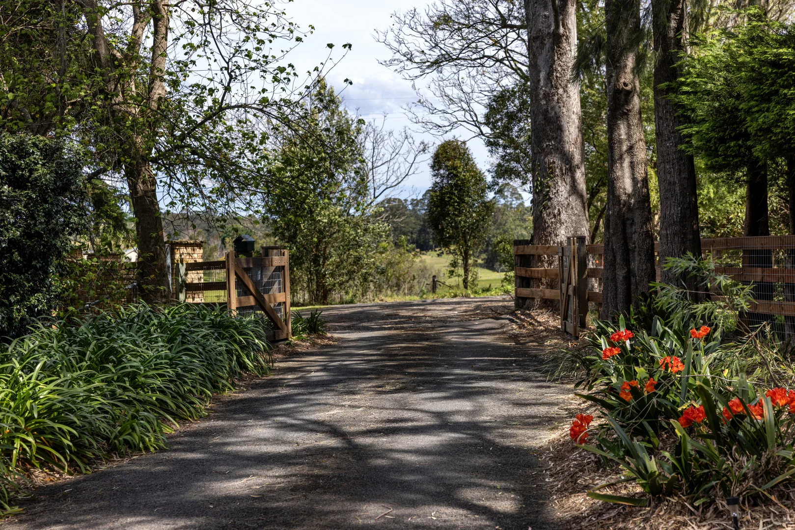 Additional image 24 of 220a Strongs Road, Jaspers Brush NSW 2535