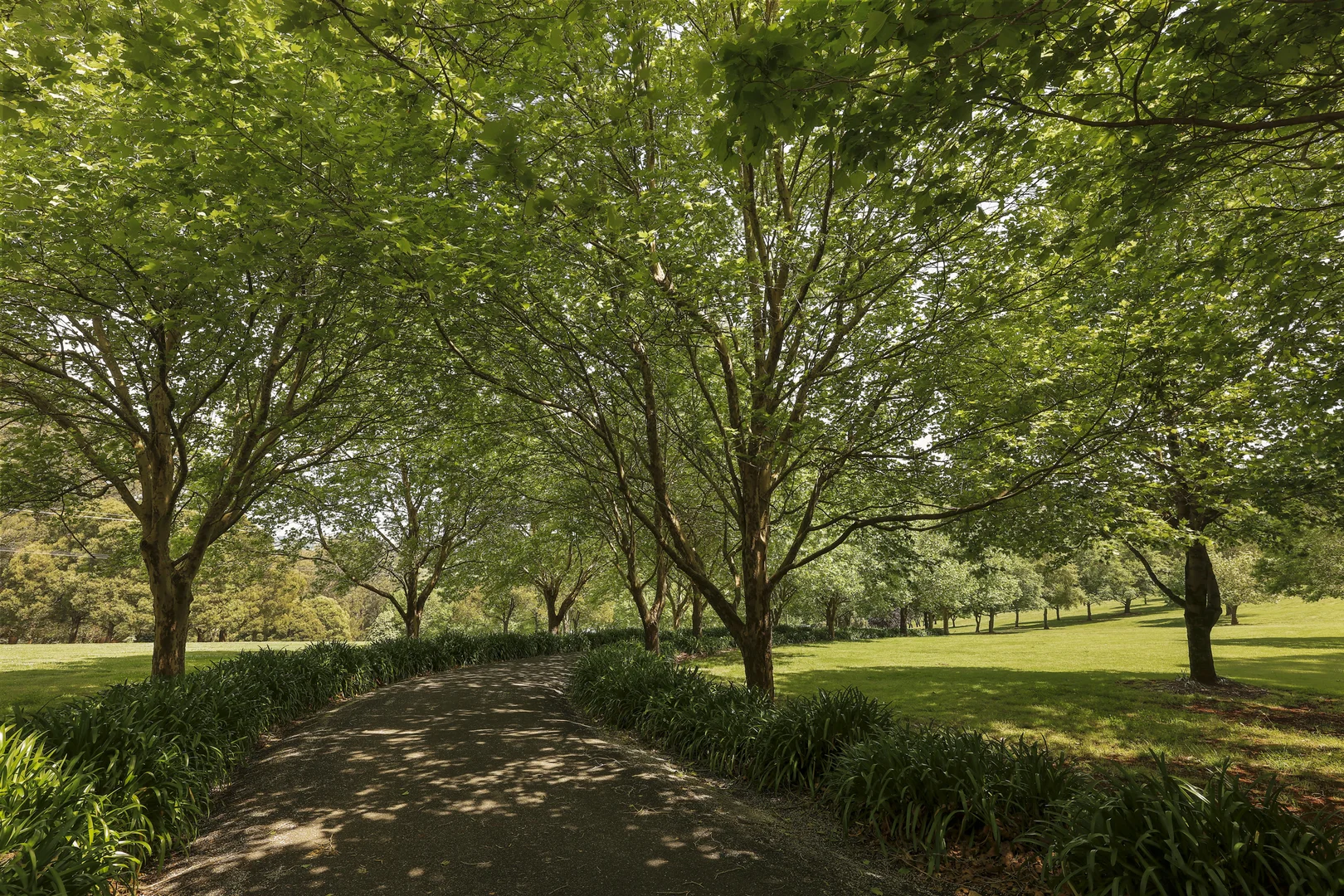 Additional image 24 of 561 Myra Vale Road, Wildes Meadow NSW 2577