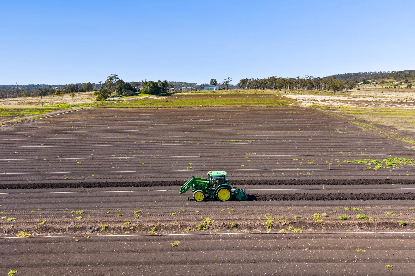 Additional image 11 of "Westview" 189 Toowoomba-Karara Road, Finnie QLD 4350