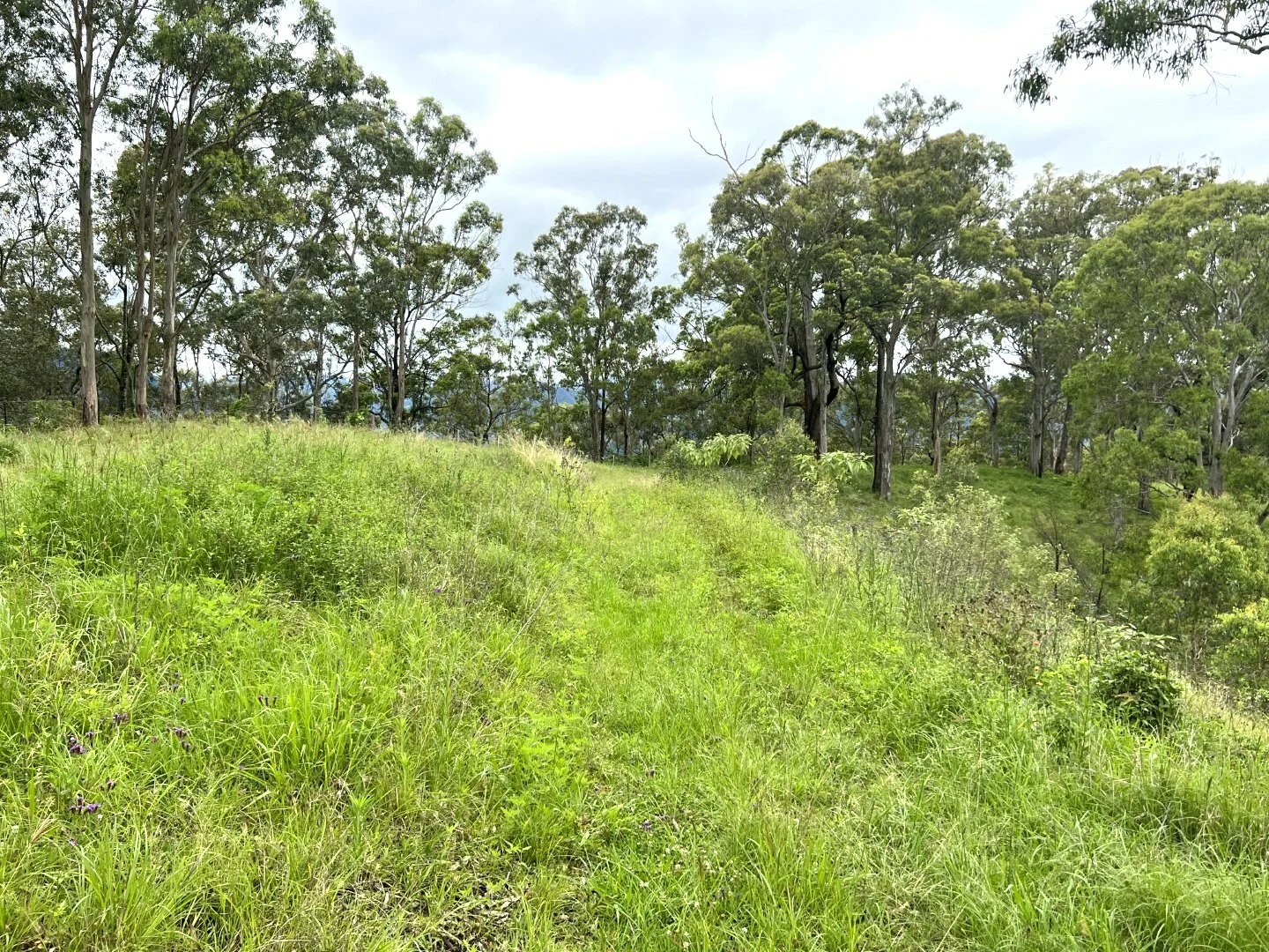 Additional image 30 of 59 Wyndham Road, Wyneden NSW 2474