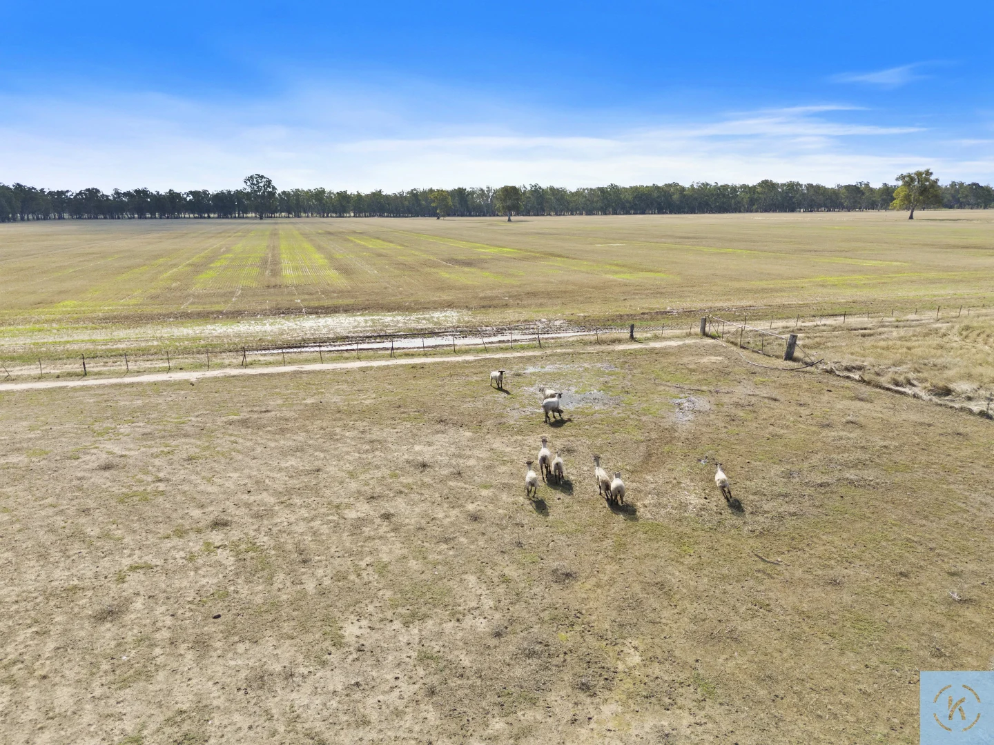 Additional image 34 of 7243 Goulburn Valley Highway, Koonoomoo VIC 3644