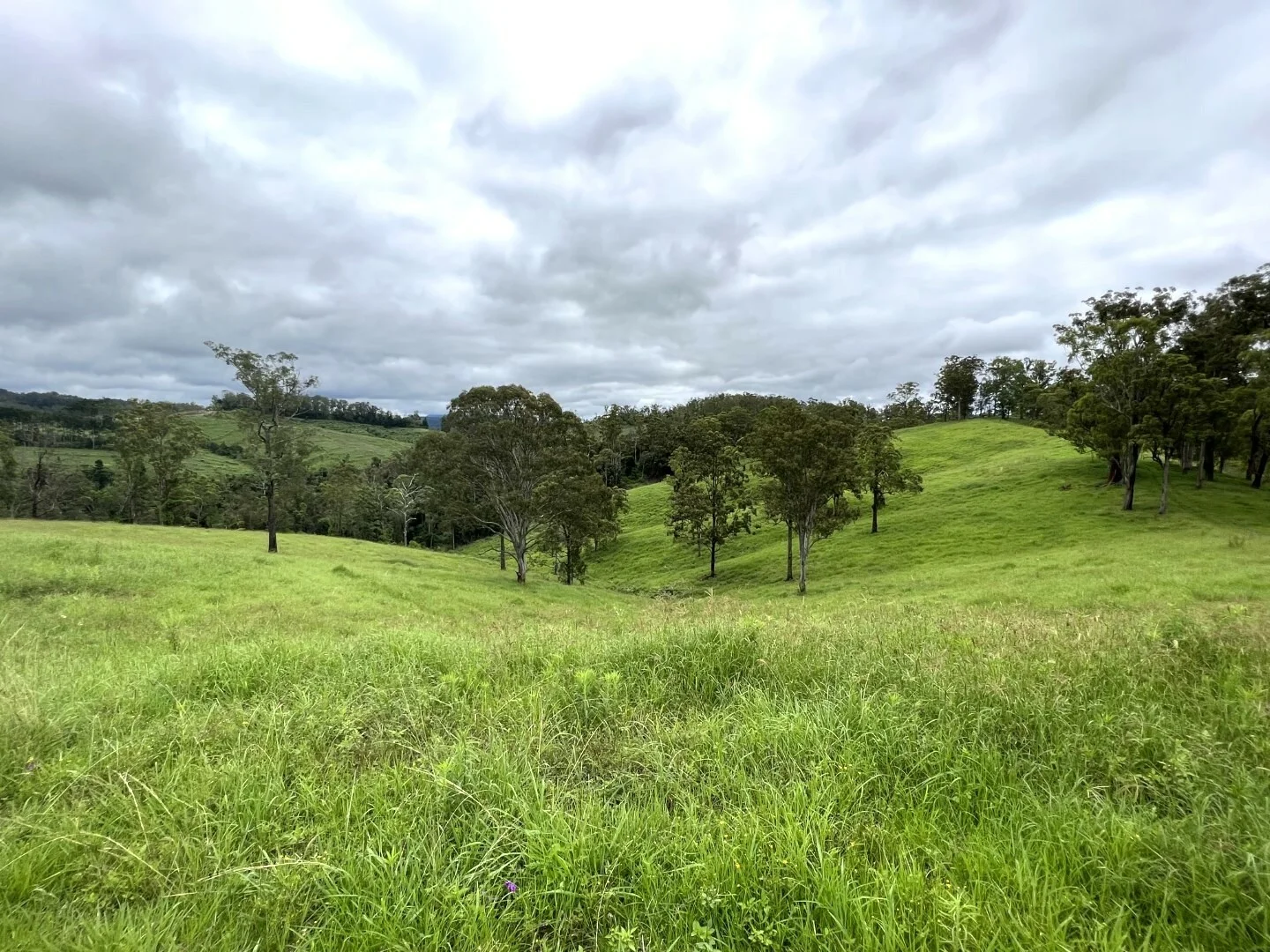 Additional image 19 of 59 Wyndham Road, Wyneden NSW 2474