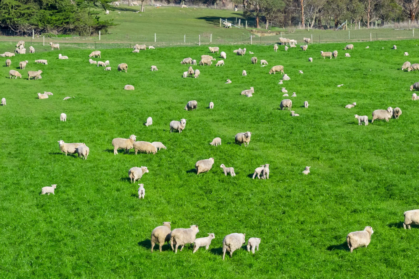 Additional image 4 of The Junction, 212 Warrumyea Road, Panmure VIC 3265