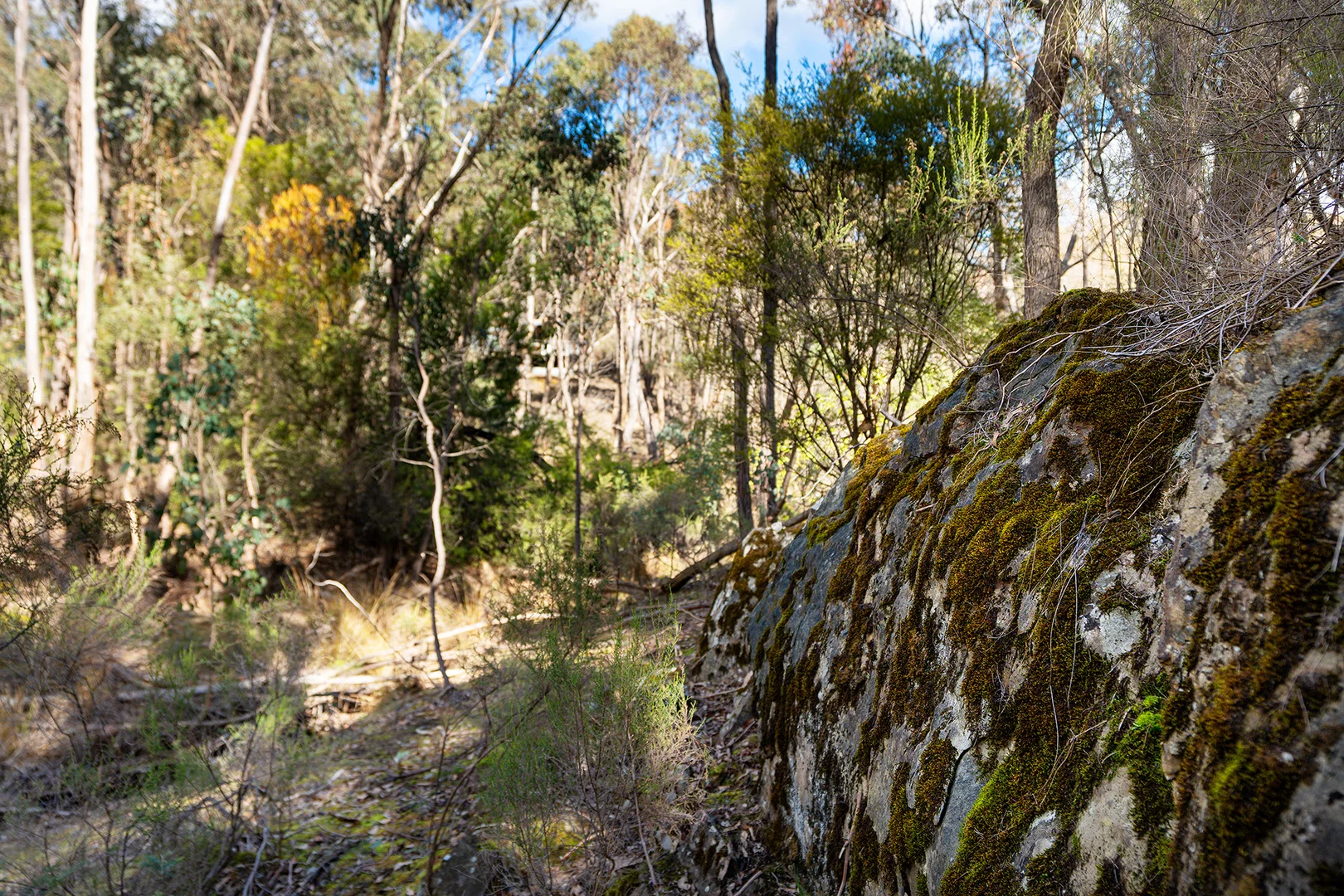 Additional image 19 of 132 Nalya Court, Drummond North VIC 3446