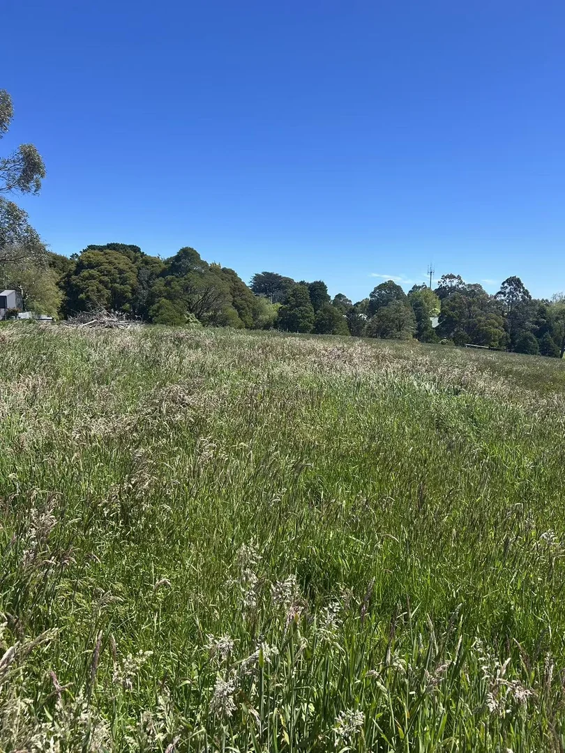 Additional image 2 of 18A Great Ocean Road, Lavers Hill VIC 3238