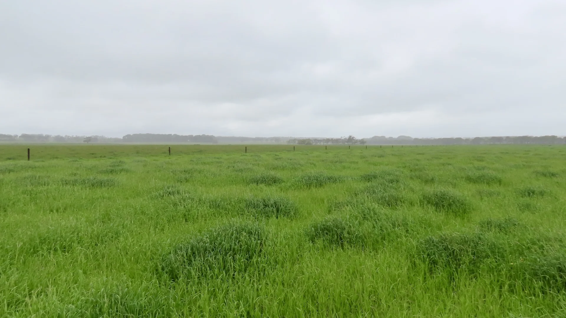 Additional image 27 of Contact Agent, Macarthur VIC 3286