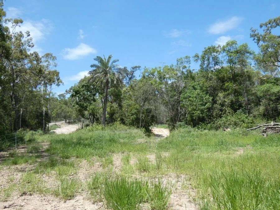 Additional image 10 of Lot 41 Moolyung Road, Waterloo QLD 4673