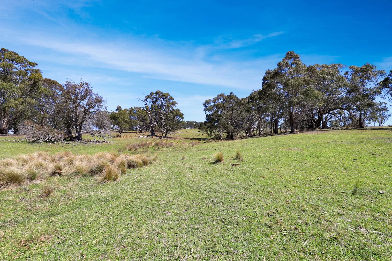 Additional image 23 of "Glenroy" Corrowong Road, Delegate NSW 2633