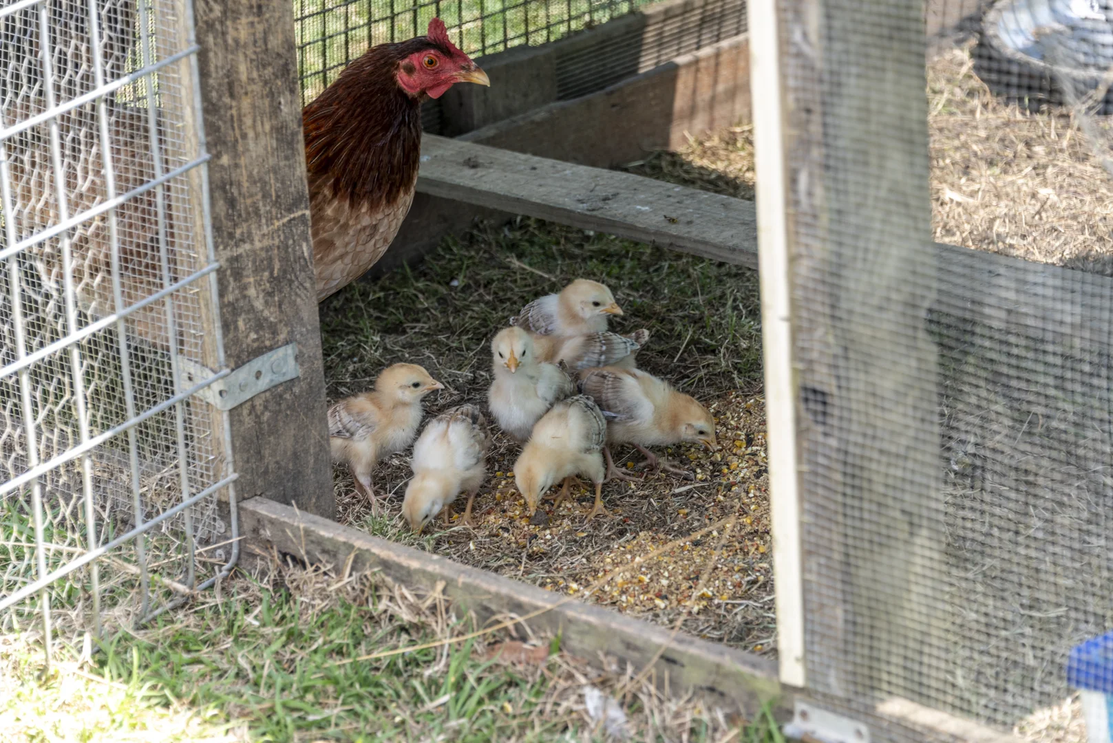 Additional image 25 of 147 Varley Road North, Glenwood QLD 4570