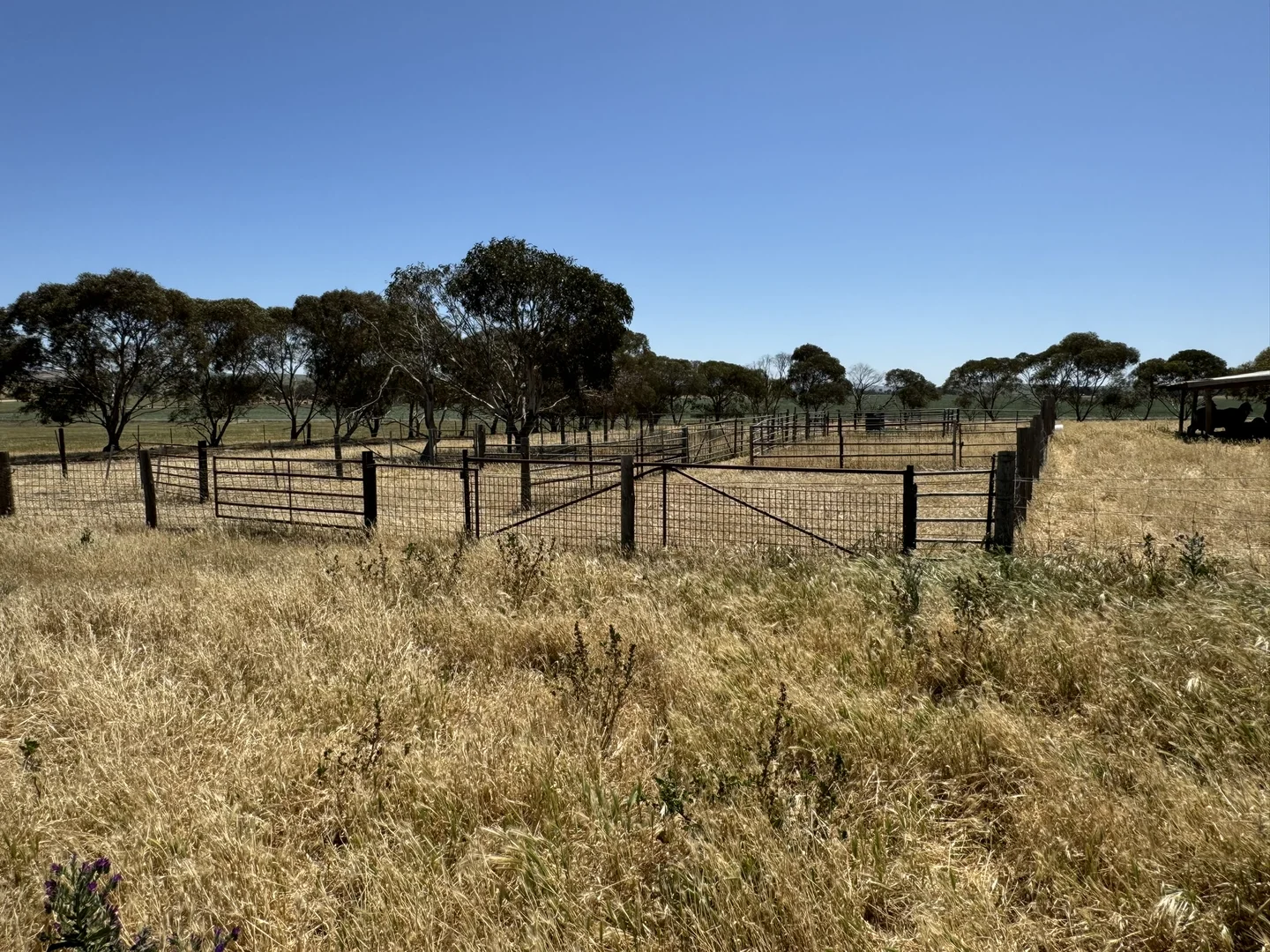 Additional image 33 of 1 Tohls Road, Booborowie SA 5417