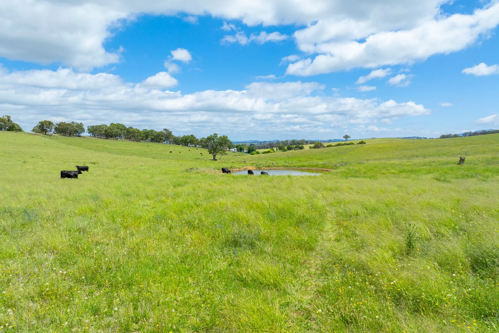 Additional image 23 of 188 Burkes Lane, Brewongle NSW 2795