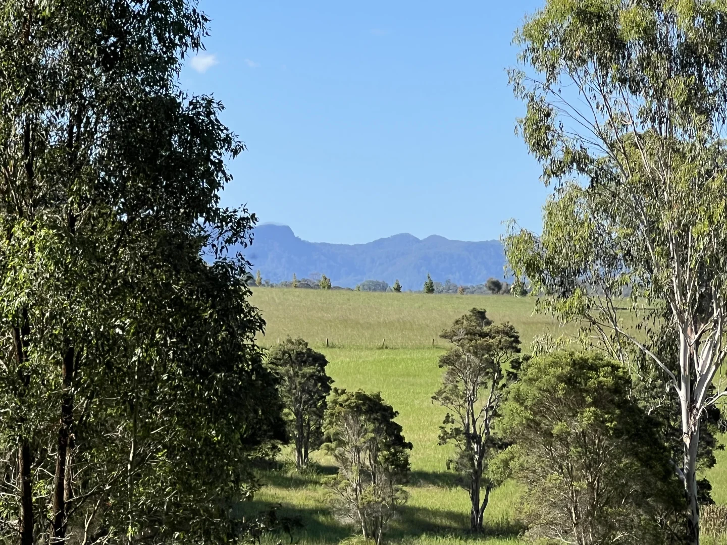 Additional image 7 of 64 Mooral Creek Road, Cedar Party NSW 2429