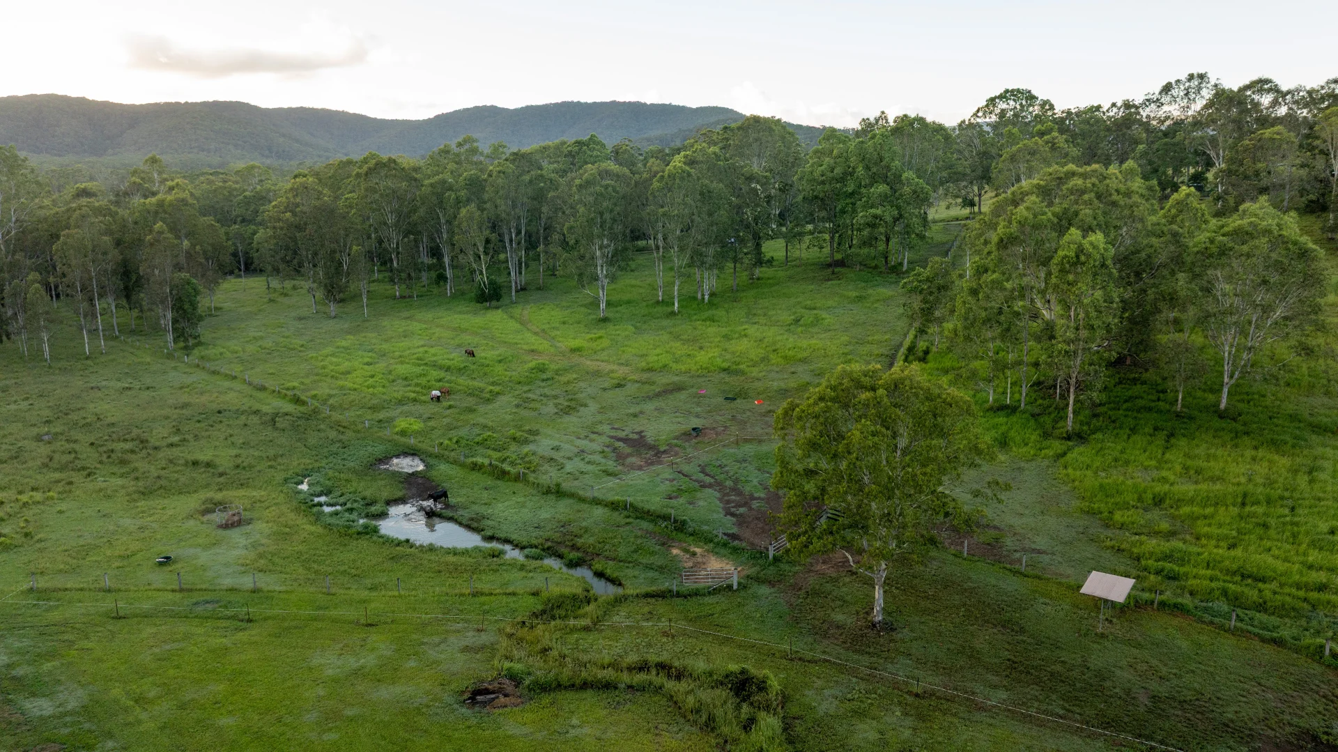 Additional image 33 of 24 Paddy Melon Lane, Belli Park QLD 4562
