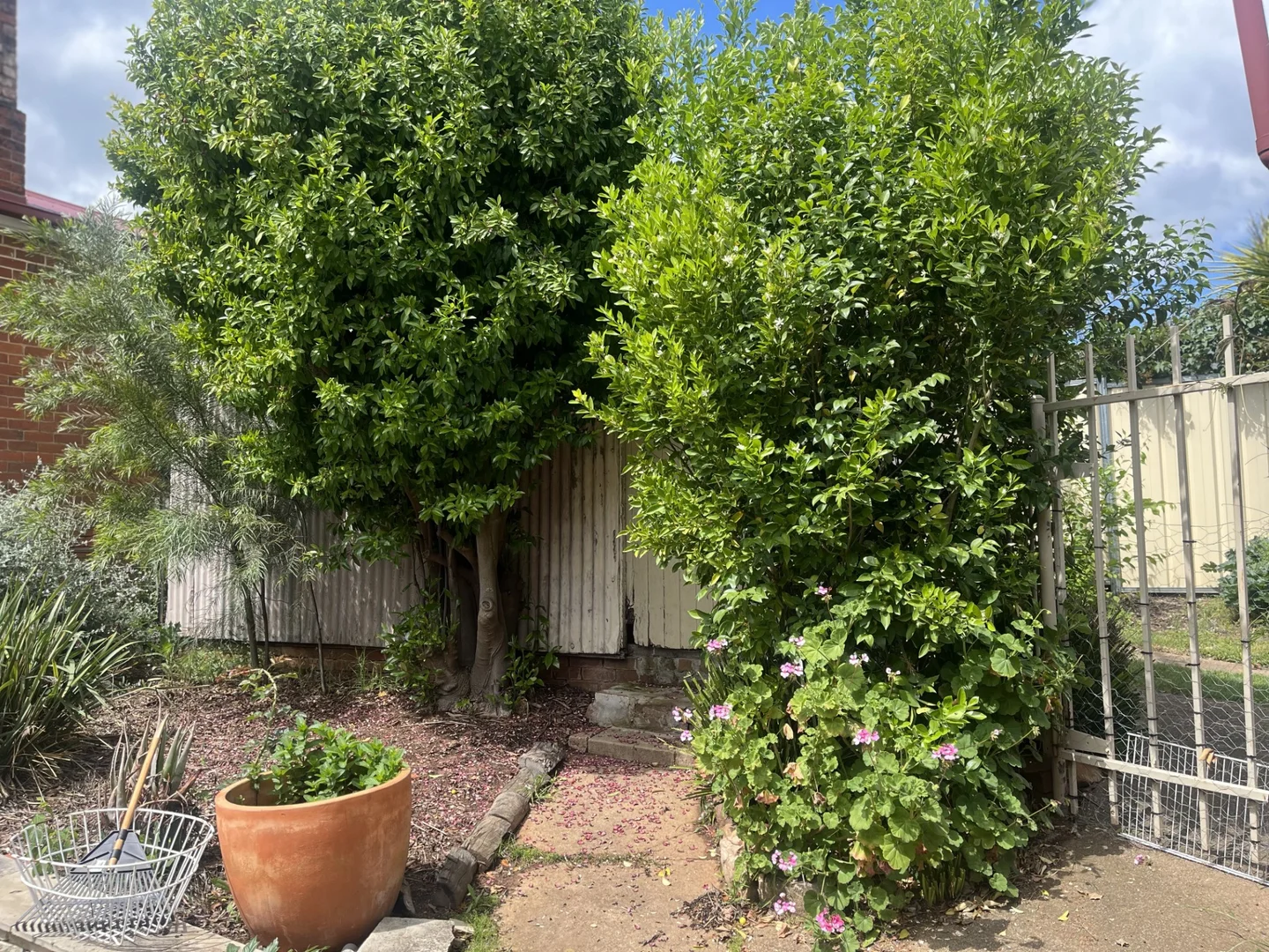 Additional image 12 of 61 Edwards Street, Young NSW 2594