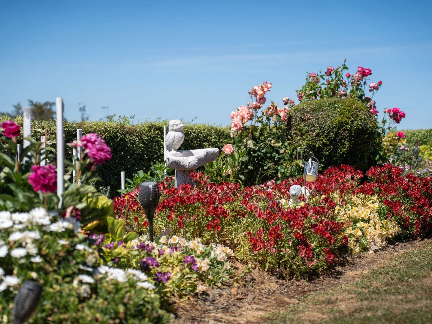 Additional image 22 of 123 Careys Road, West Kentish TAS 7306