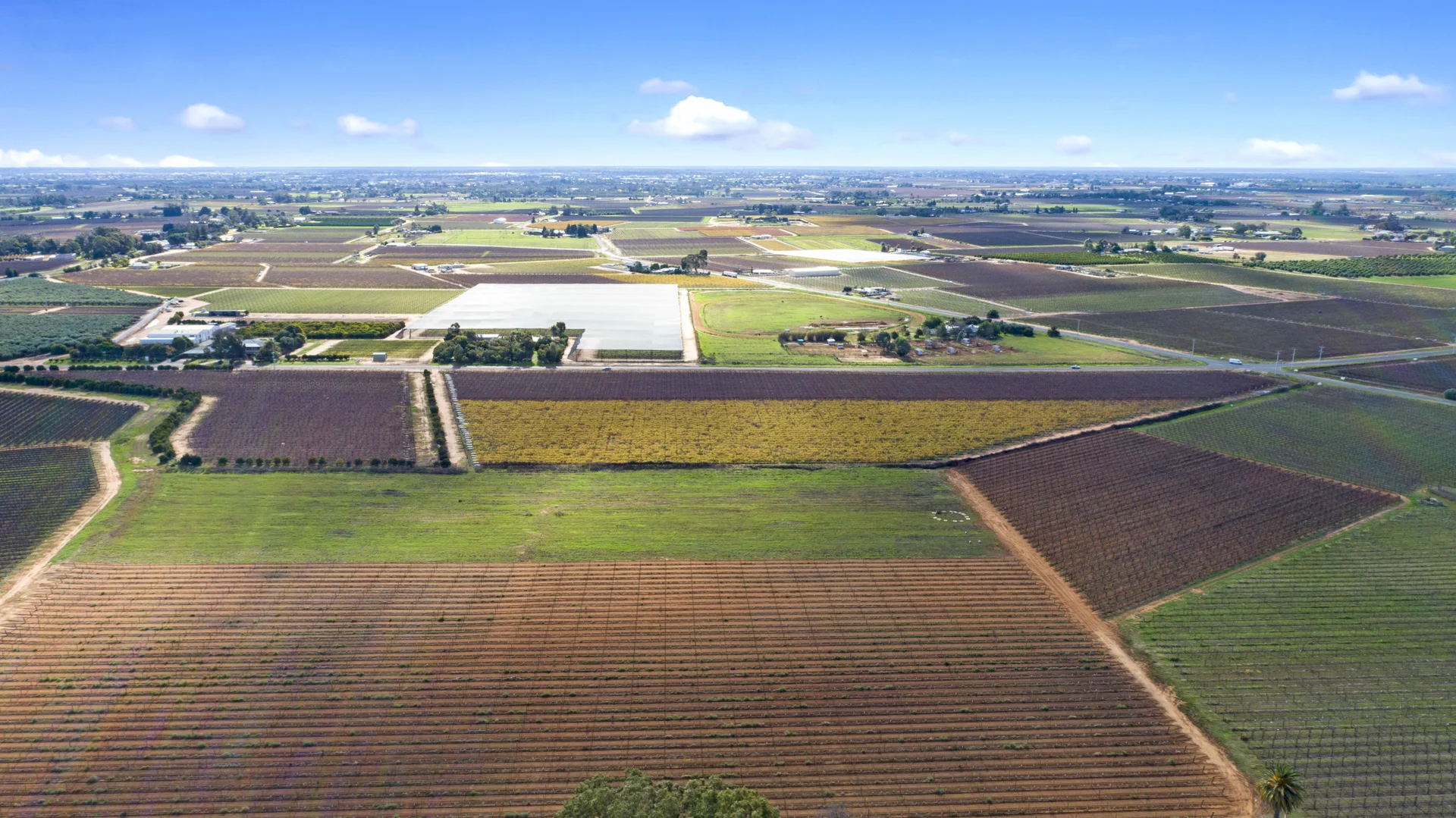 Additional image 4 of 356 Myall Street, Red Cliffs VIC 3496