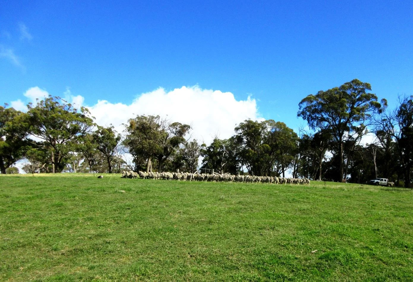 Additional image 8 of 1815 Hillview Road, Uralla NSW 2358