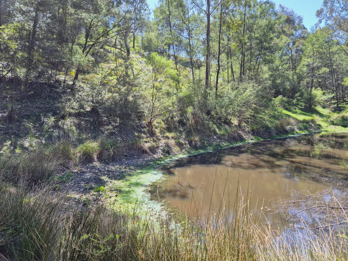 Additional image 13 of Lot 4 Heyfield-Seaton Road, Seaton VIC 3858