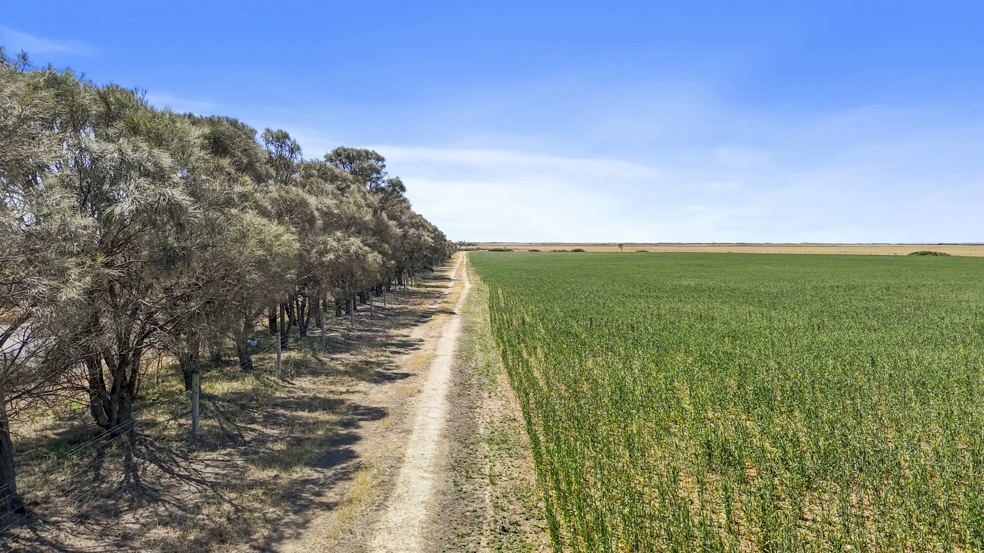 Additional image 4 of Lot 1 Tolderol Road, Langhorne Creek SA 5255