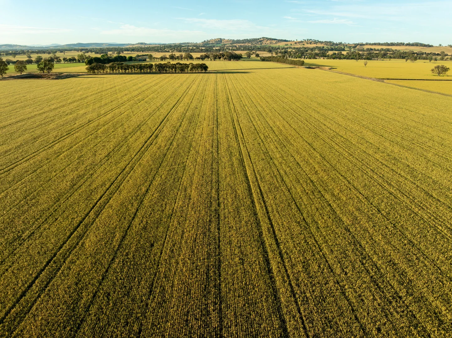 Additional image 3 of 158 Bethel Road, Burrumbuttock NSW 2642