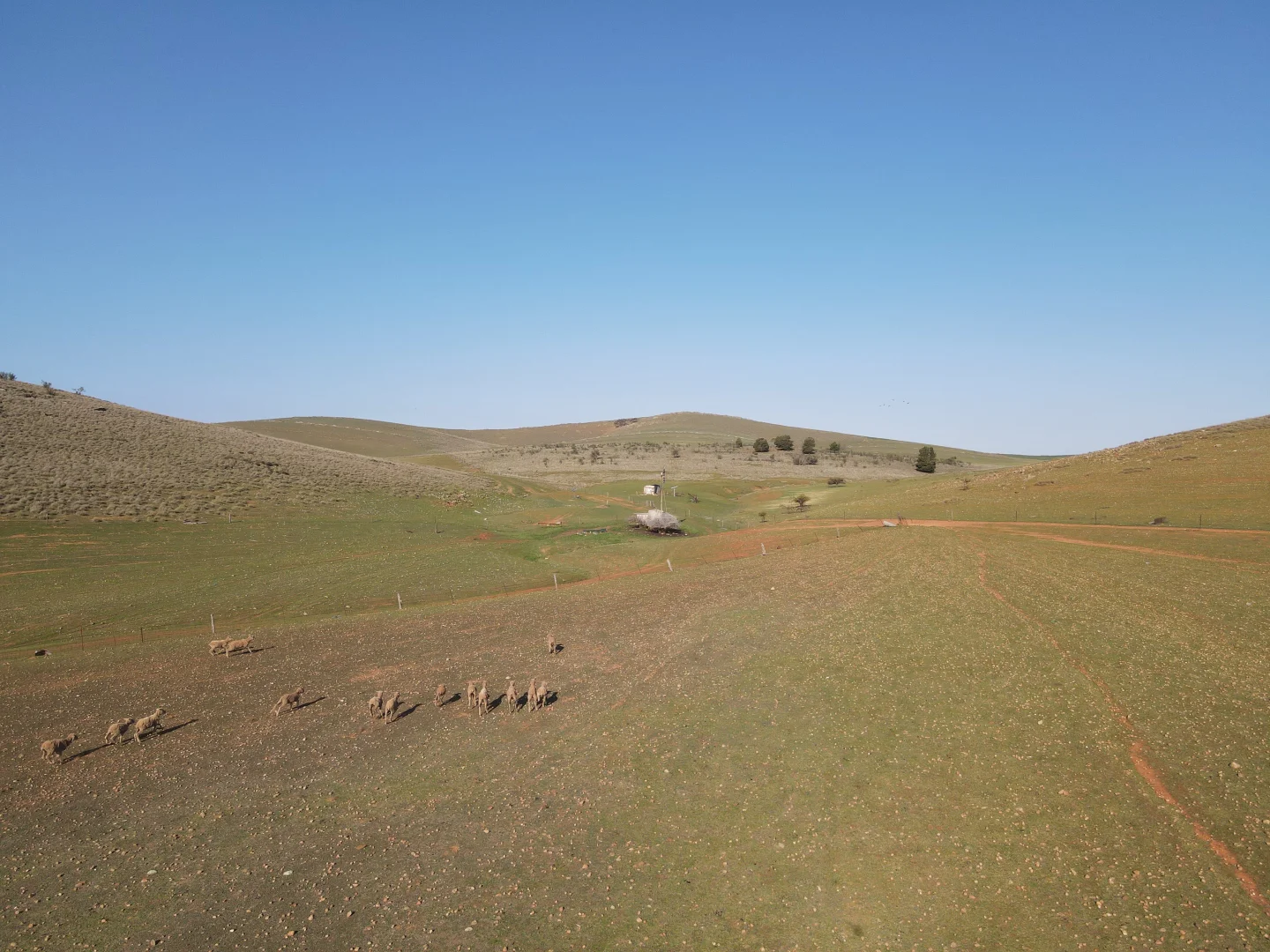 Additional image 12 of 274E Melrose Road, Pekina SA 5431