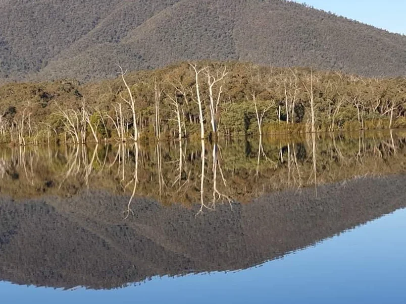 Additional image 10 of 8 Cross Avenue, Dartmouth VIC 3701