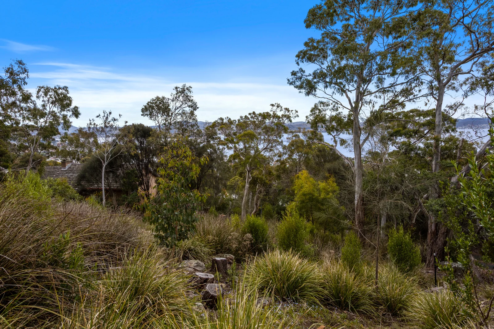 Additional image 6 of 199 Nelson Road, Mount Nelson TAS 7007