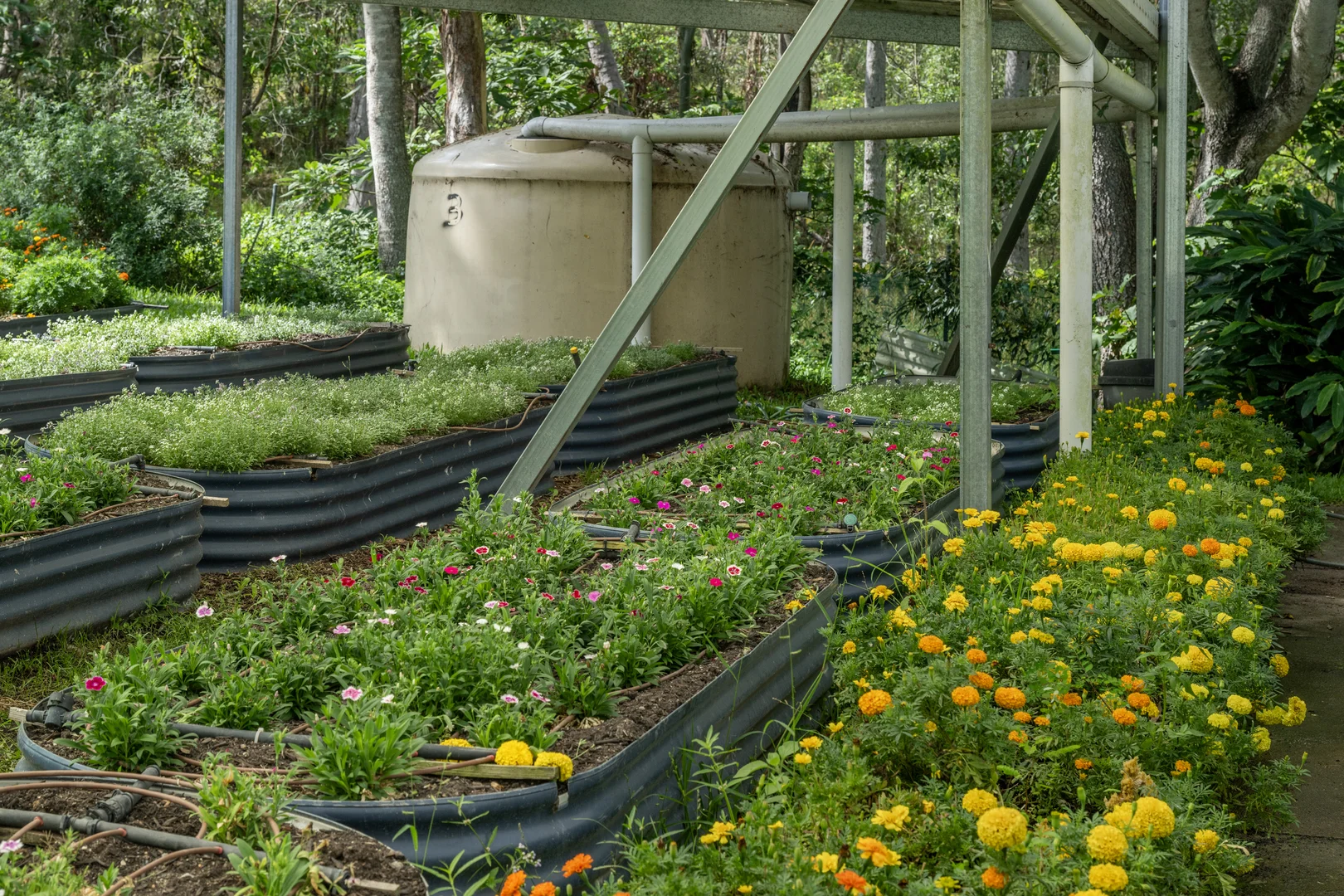 Additional image 33 of 44 Glen Nathan Court, Mount Nathan QLD 4211