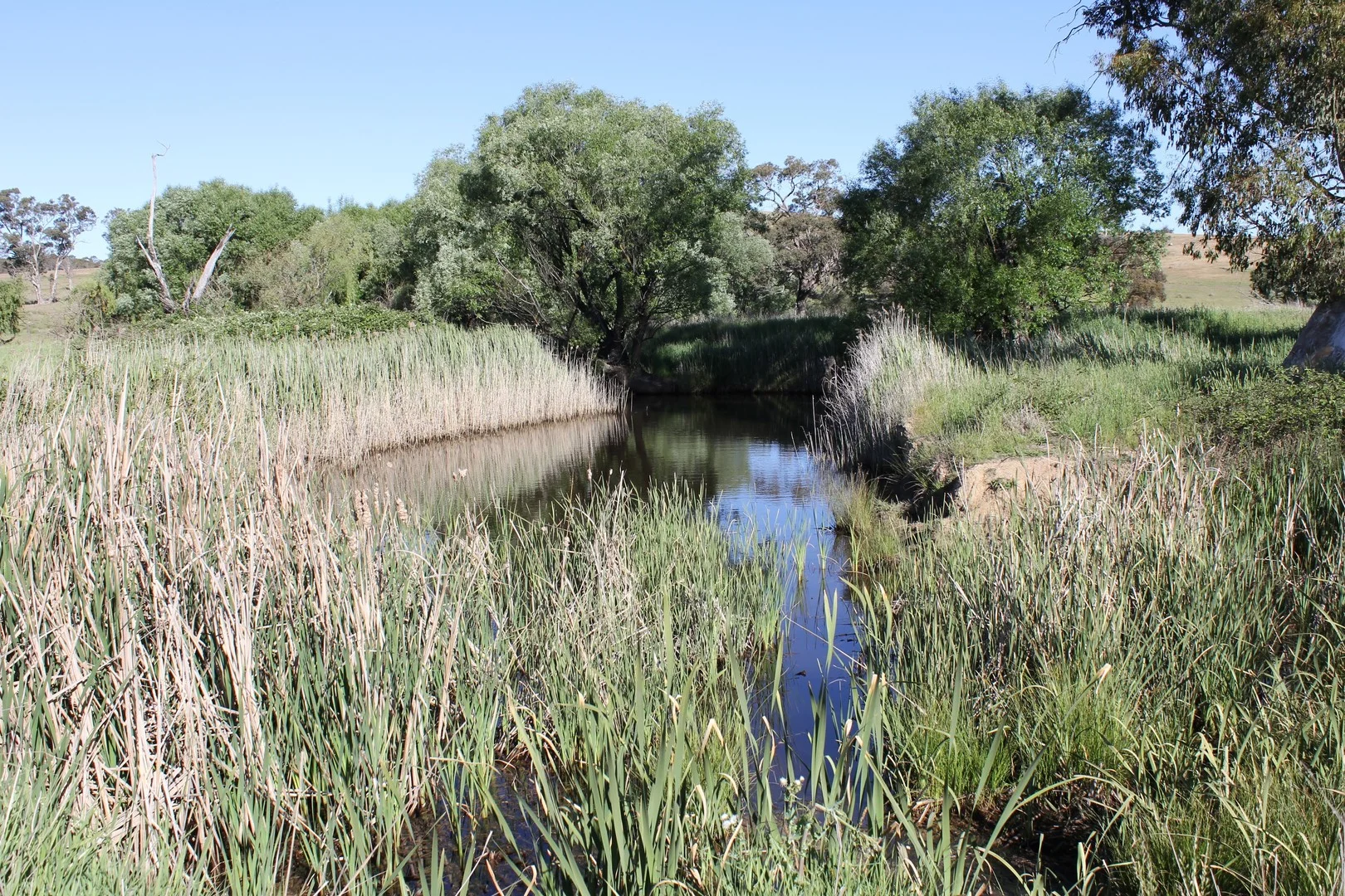 Additional image 2 of 48 & 98/413 Flacknell Creek Road, Gunning NSW 2581