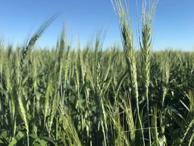 Additional image 2 of Jandowae QLD 4410