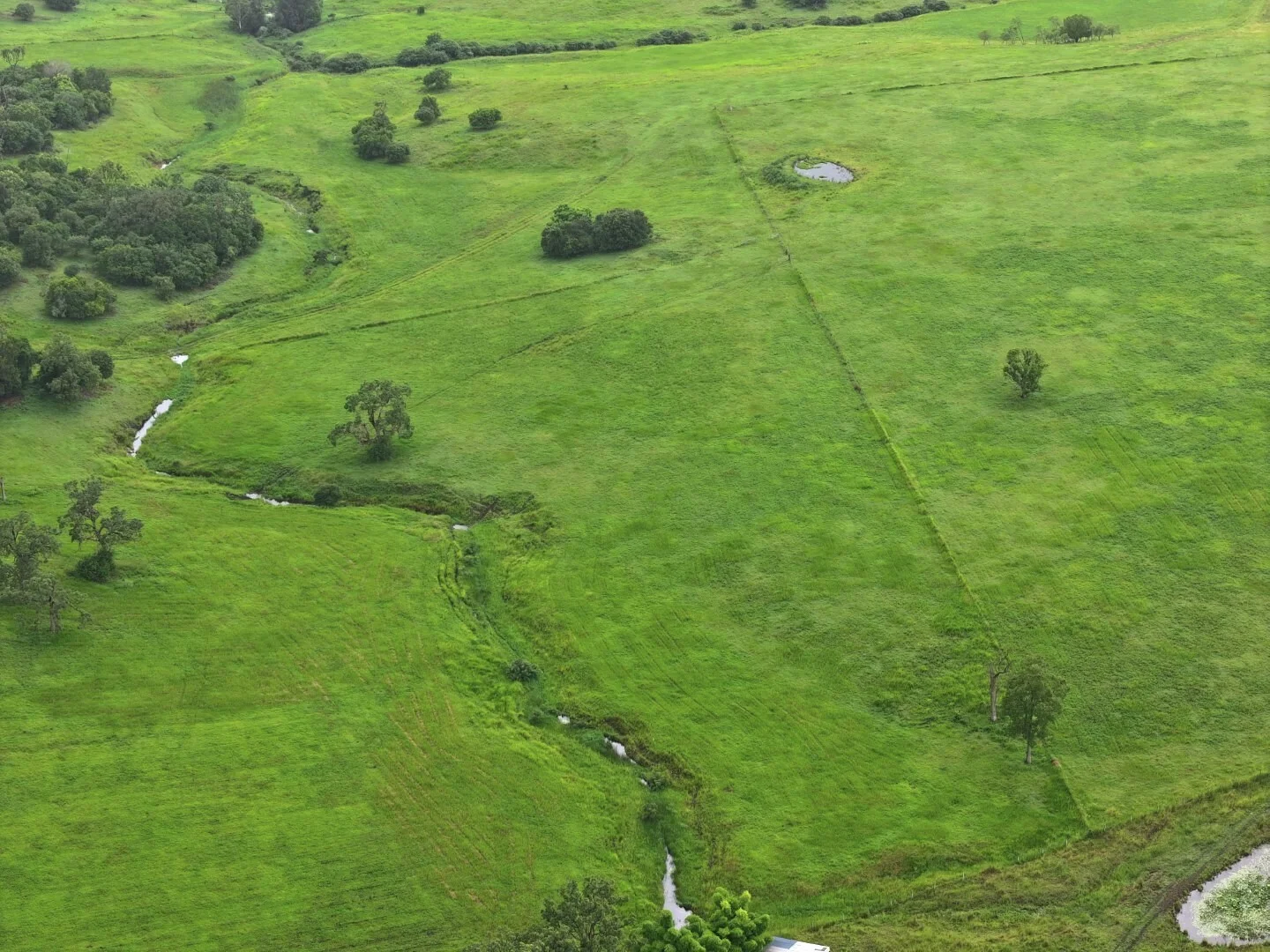 Additional image 22 of 284 Upper Stratheden Road, Kyogle NSW 2474