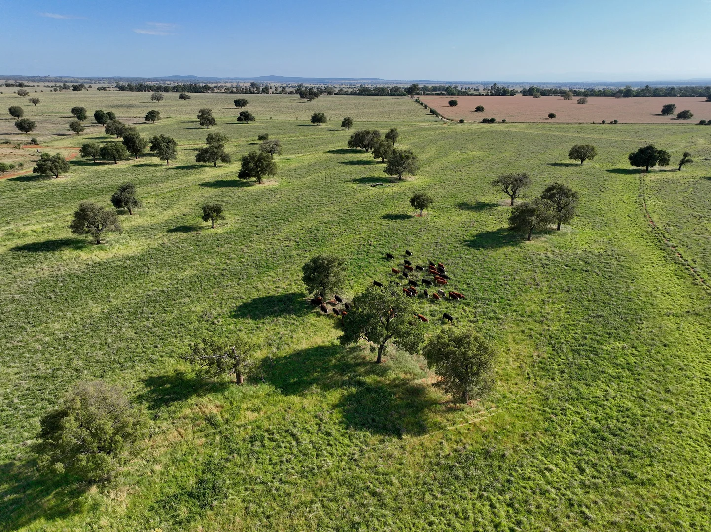 Additional image 20 of 1676 Willala Road, Boggabri NSW 2382