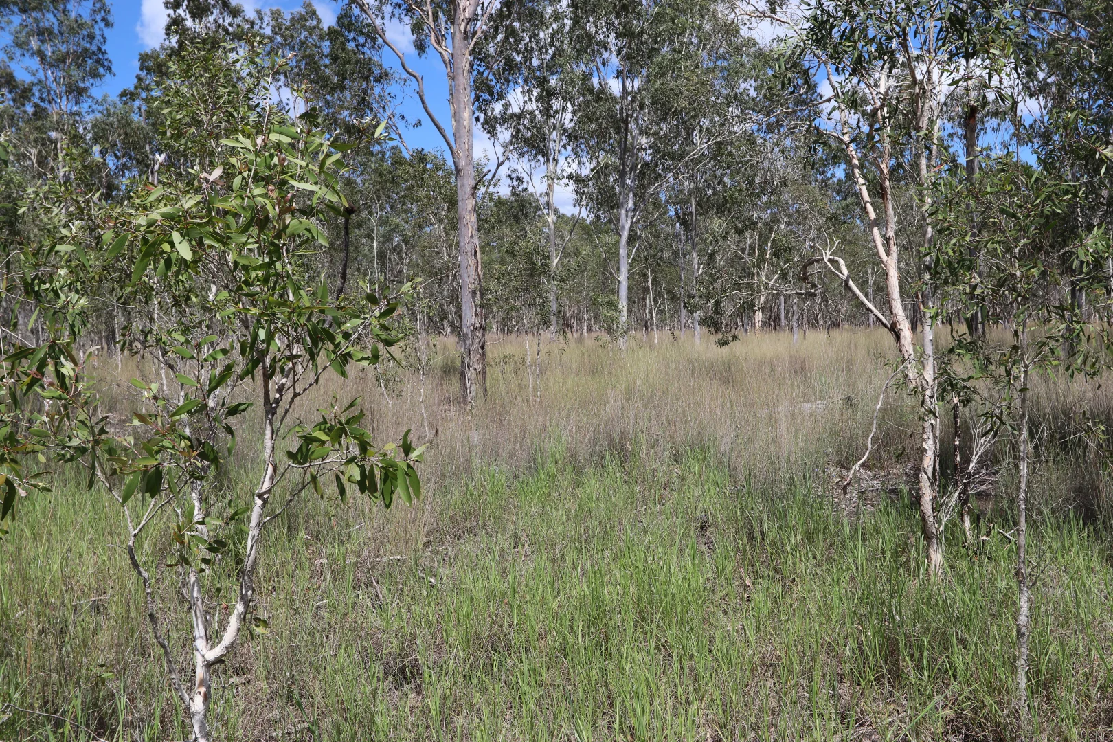 Additional image 6 of 330 Doonside Road, Jardine QLD 4702