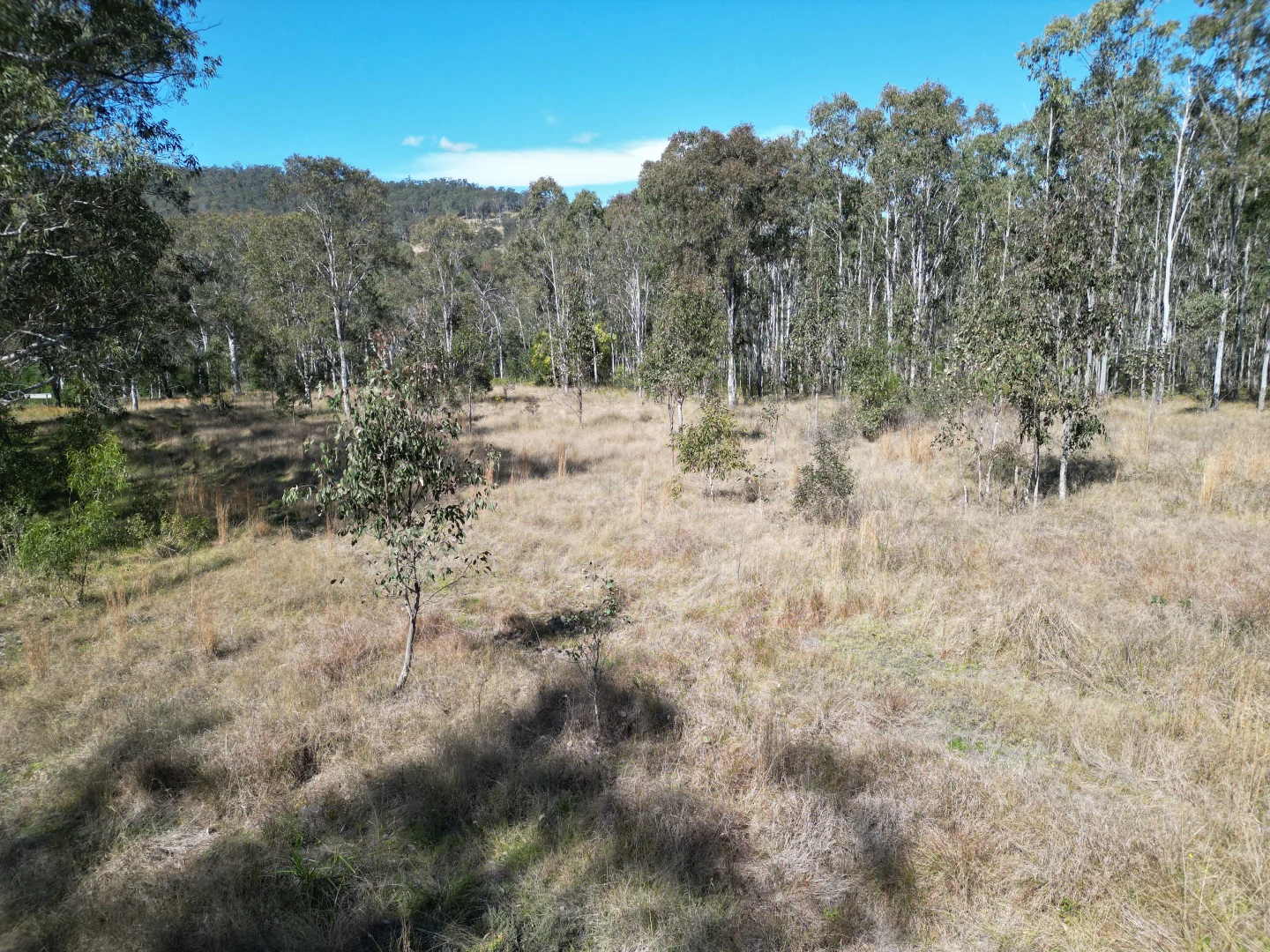 Additional image 14 of Lot 201 Paddys Flat Road, Tooloom NSW 2475