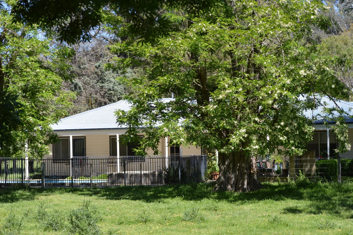 Additional image 8 of 672 Lima East Road, Lima East VIC 3673