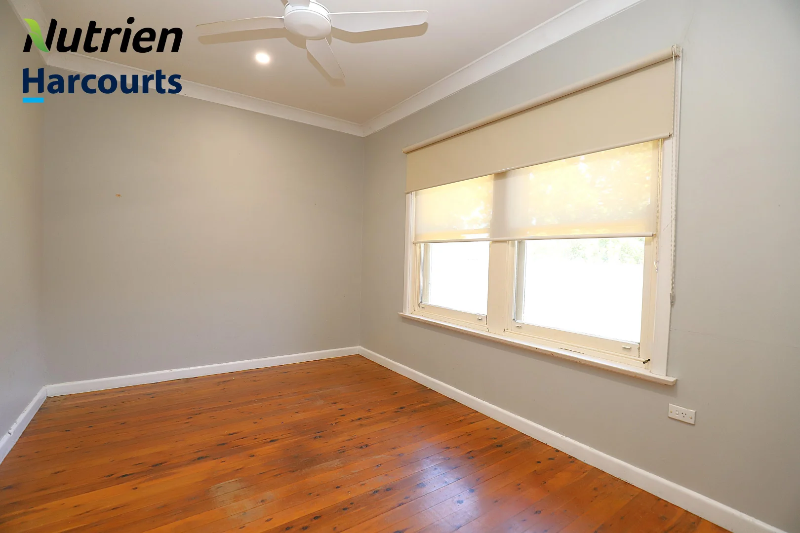 Additional image 7 of 19 Murray Street, Cootamundra NSW 2590