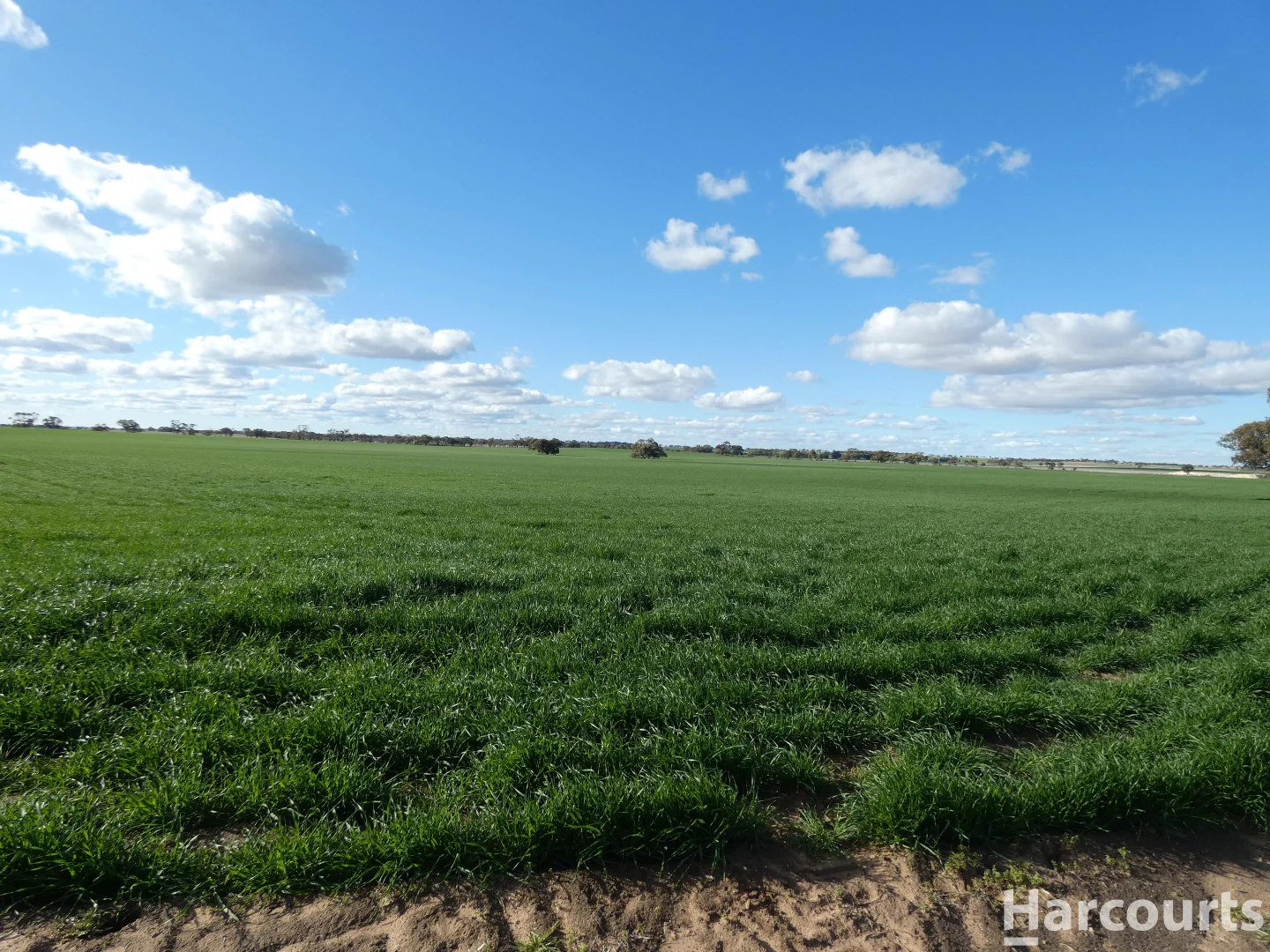 Additional image 29 of 4429 Hopetoun-Rainbow Road, Rainbow VIC 3424