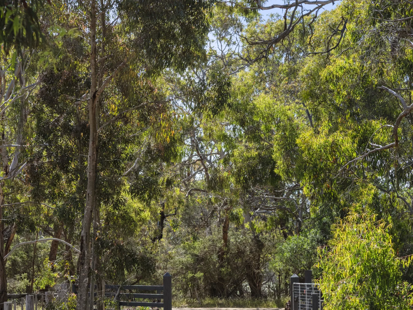 Additional image 18 of 850 Pettavel Road, Freshwater Creek VIC 3217