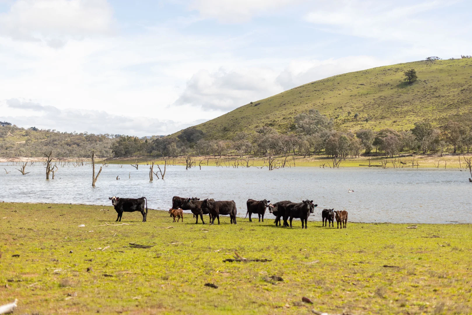 Additional image 10 of 354 Fifeshire Road, Yass NSW 2582