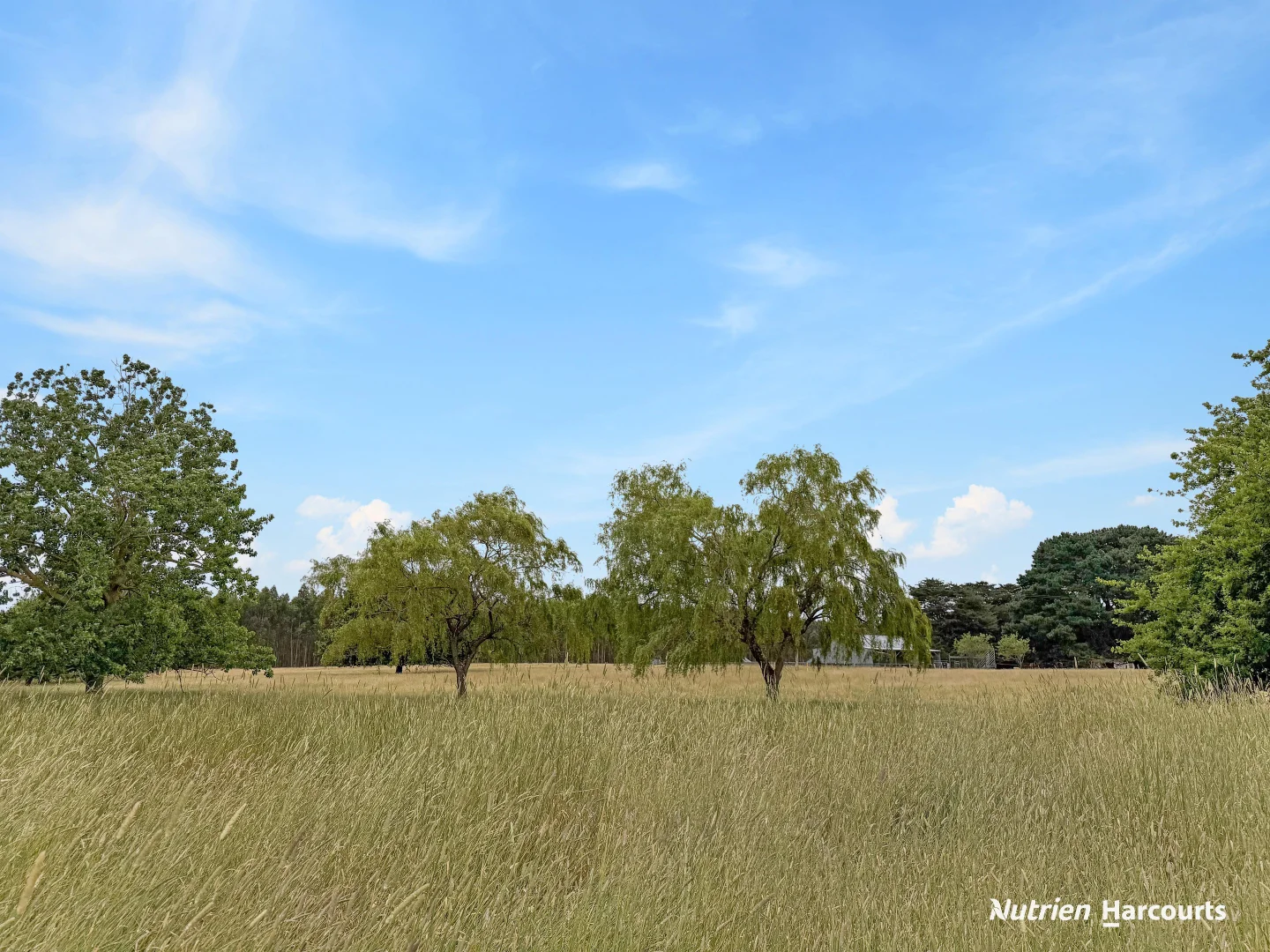 Additional image 15 of 674 Glenelg Highway, Casterton VIC 3311