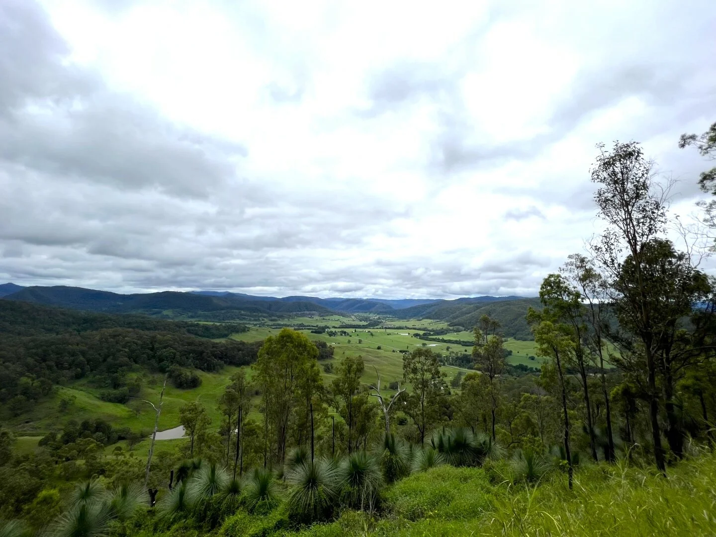 Additional image 22 of 59 Wyndham Road, Wyneden NSW 2474