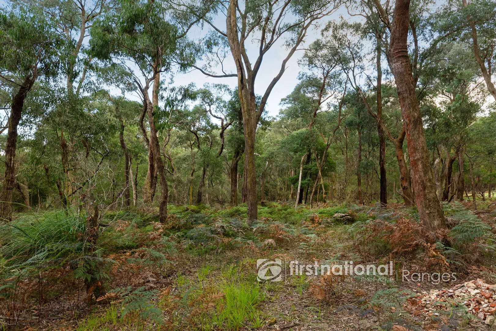 Additional image 9 of 31 Coulson Road, Monbulk VIC 3793