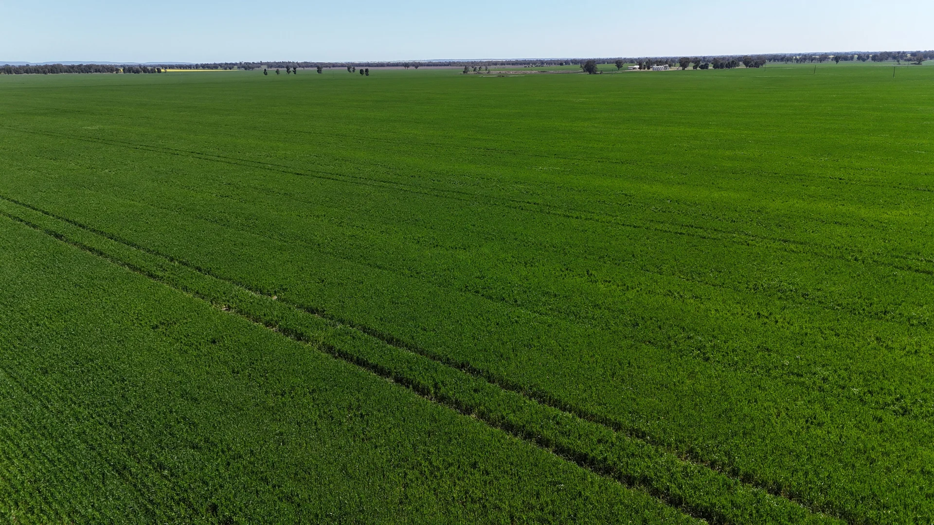 Additional image 11 of 92 Millers Lane, Parkes NSW 2870