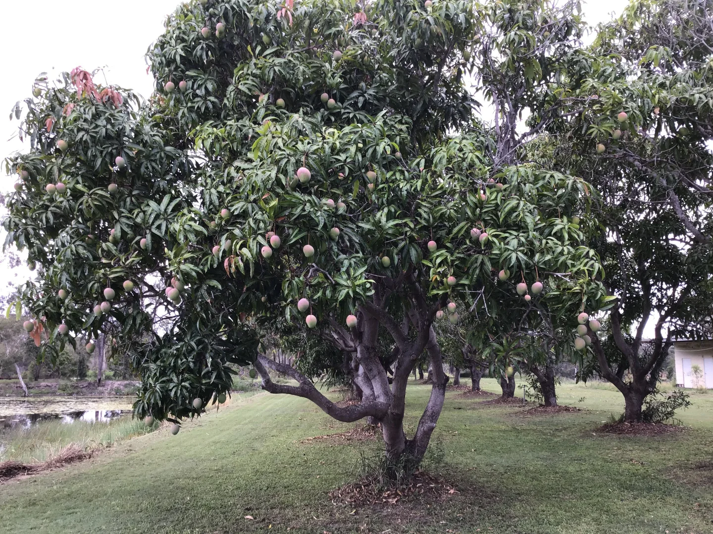 Additional image 21 of 867 Burrum Heads Road, Burrum River QLD 4659