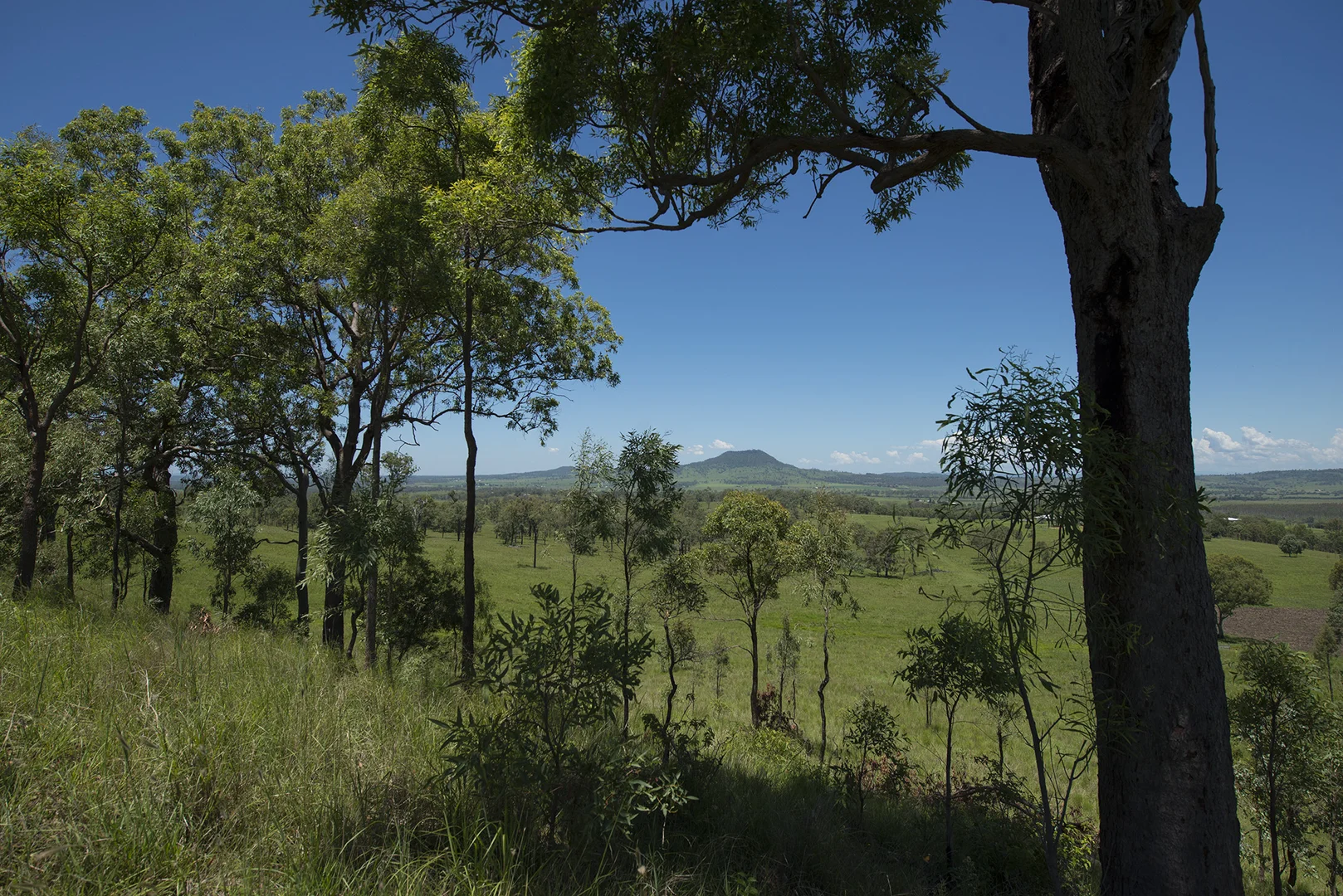 Additional image 11 of Corner Tralee & Waines Road, Mount Walker West QLD 4340