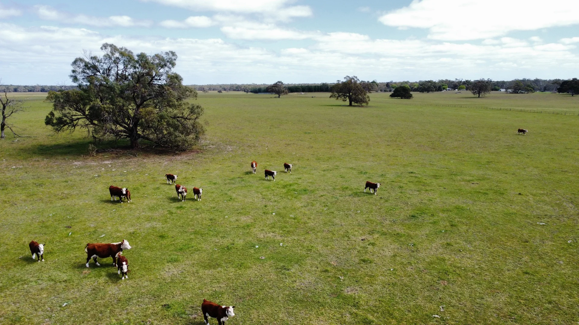 Additional image 19 of Lot/11 Casterton Apsley Road, Apsley VIC 3319