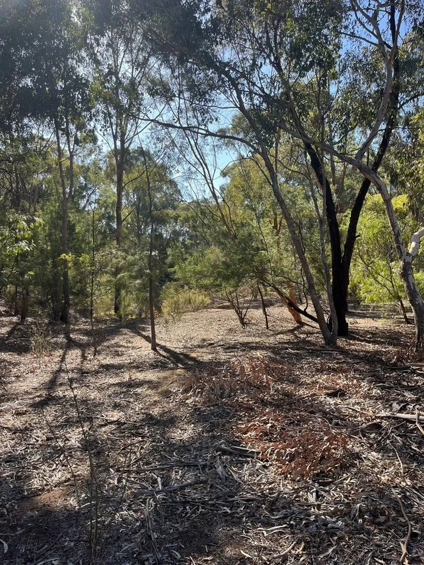 Steele Street, Maldon VIC 3463