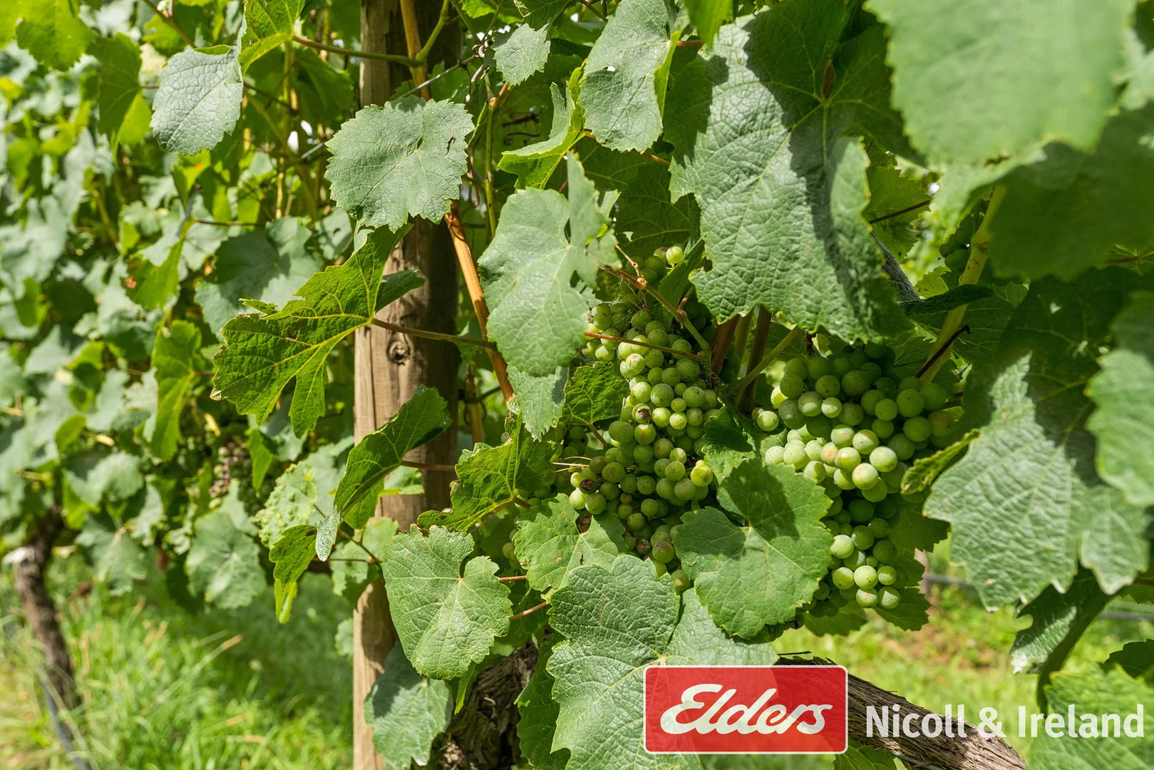 Additional image 37 of 42 Wallace Lane, Canobolas NSW 2800