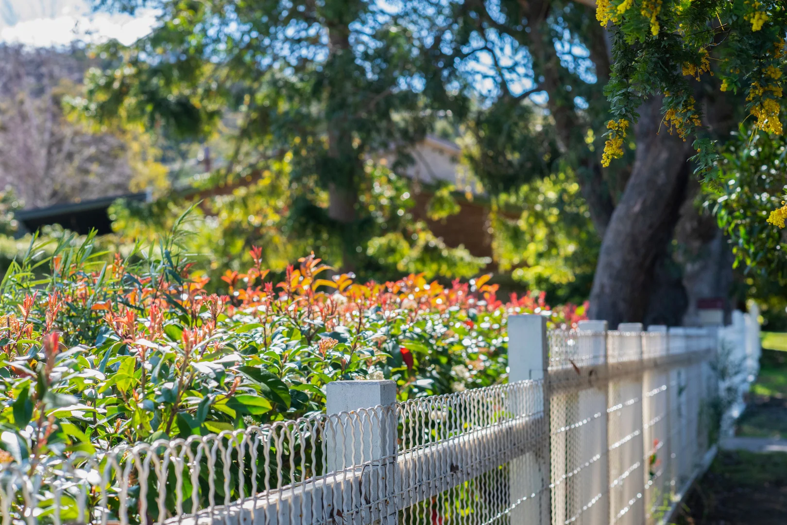 Additional image 18 of 2-4 Beatrice Street, Mittagong NSW 2575