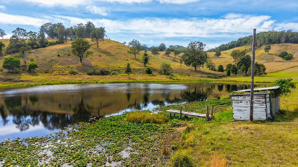 Additional image 39 of 857 Willina Road, Willina NSW 2423